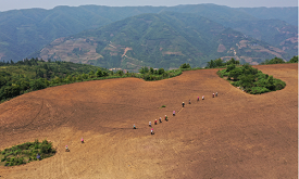 【网评大赛】“上天入地”助力现代农业发展