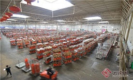 【网评大赛】让云南花卉“全面盛开”