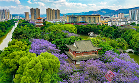 【网评大赛】打造宜居城市新品牌