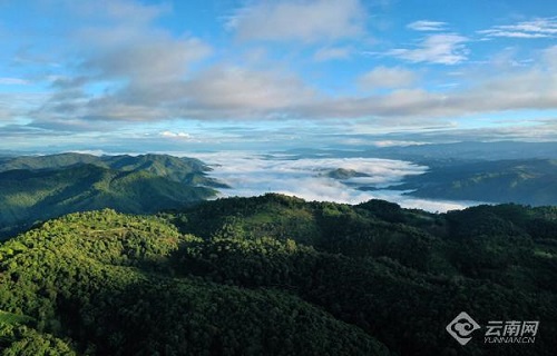 普洱茶排行_凤凰资讯_资讯_凤凰网(2)
