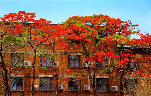 用光影讲好云南故事