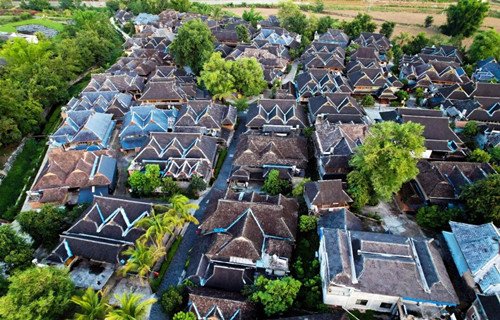 “艺术家含量超标”背后的旅居魅力