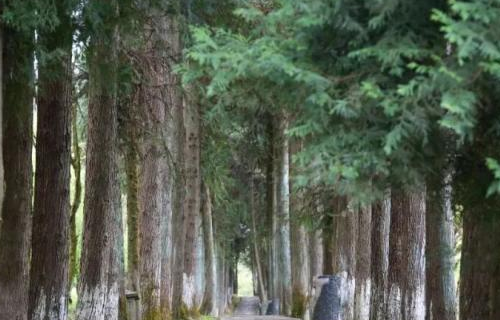 心向善洲，实干为民