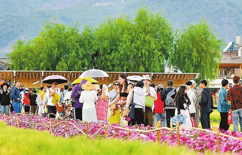 “五一”热度拉满，云南文旅跑出“加速度”