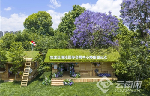 关注青年婚恋，不妨先学会在“520”当氛围组