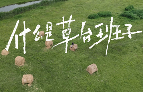 先以“草台”身份登场