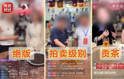 岂容直播乱象把茶泡坏